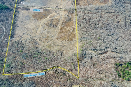 Country Home on Big Acreage in Marietta, Prentiss Co., MS - image 7