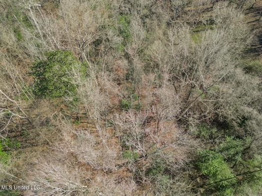 13645 LA Hwy 10, St. Francisville, LA Home on 19± Acres