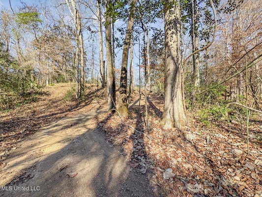 13645 LA Hwy 10, St. Francisville, LA Home on 19± Acres