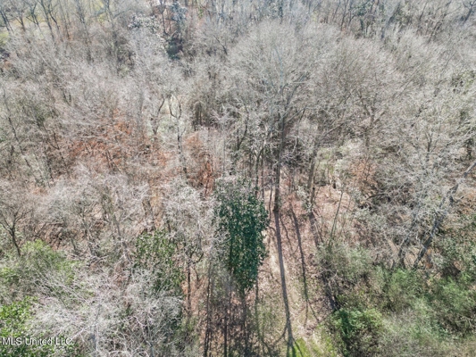 13645 LA Hwy 10, St. Francisville, LA Home on 19± Acres