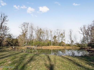13645 LA Hwy 10, St. Francisville, LA Home on 19± Acres - image 41
