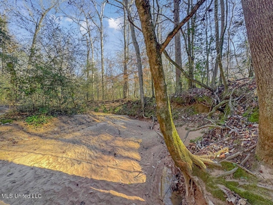 13645 LA Hwy 10, St. Francisville, LA Home on 19± Acres