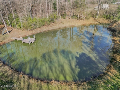 13645 LA Hwy 10, St. Francisville, LA Home on 19± Acres - image 4