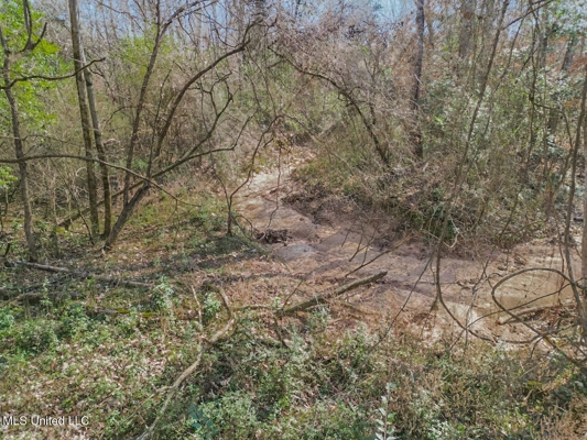 13645 LA Hwy 10, St. Francisville, LA Home on 19± Acres
