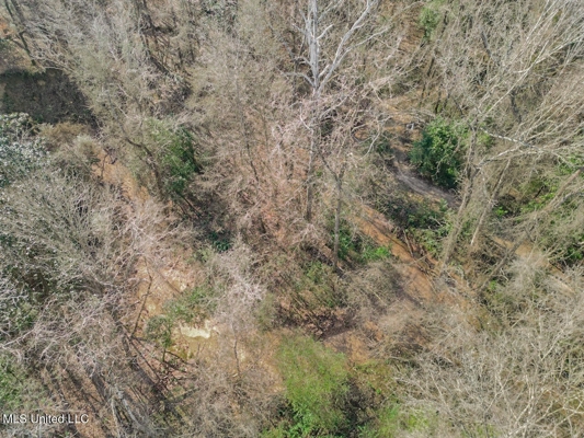 13645 LA Hwy 10, St. Francisville, LA Home on 19± Acres