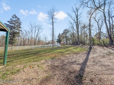13645 LA Hwy 10, St. Francisville, LA Home on 19± Acres - image 17