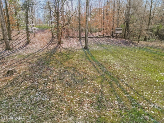 13645 LA Hwy 10, St. Francisville, LA Home on 19± Acres