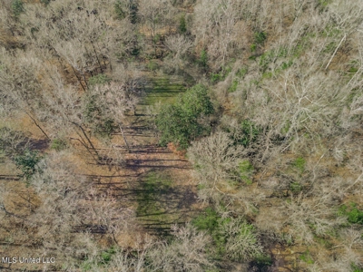 13645 LA Hwy 10, St. Francisville, LA Home on 19± Acres - image 3