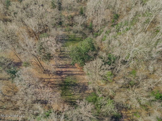 13645 LA Hwy 10, St. Francisville, LA Home on 19± Acres