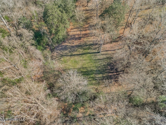 13645 LA Hwy 10, St. Francisville, LA Home on 19± Acres