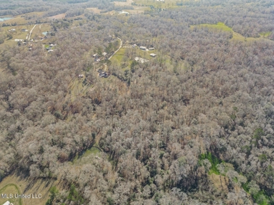 13645 LA Hwy 10, St. Francisville, LA Home on 19± Acres - image 13