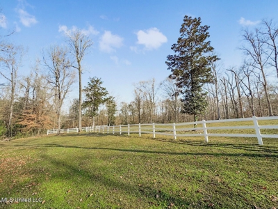 13645 LA Hwy 10, St. Francisville, LA Home on 19± Acres - image 19