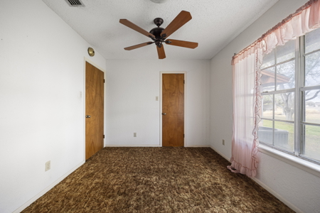 Country home on 5 acres in San Patricio County, Odem, TX - image 16