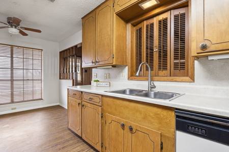 Country home on 5 acres in San Patricio County, Odem, TX - image 21