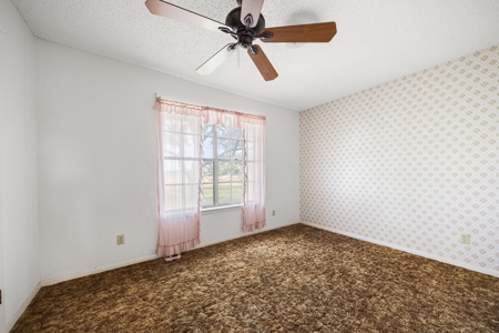 Country home on 5 acres in San Patricio County, Odem, TX - image 15