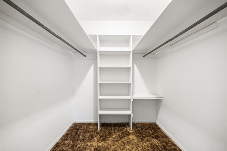 Country home on 5 acres in San Patricio County, Odem, TX - image 17