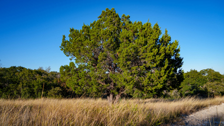 Hill Country Property with Acreage - image 25
