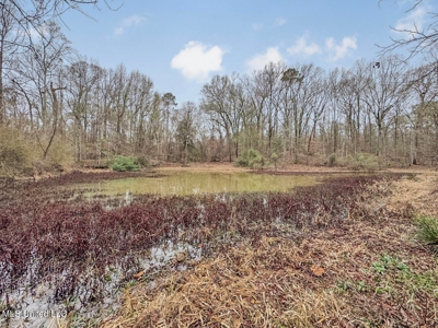 Luxury 5-Bed Home on 22 Acres in Kingston, Natchez, MS - image 48