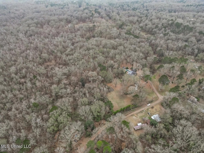 Luxury 5-Bed Home on 22 Acres in Kingston, Natchez, MS - image 30