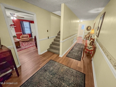 Luxury 5-Bed Home on 22 Acres in Kingston, Natchez, MS - image 11