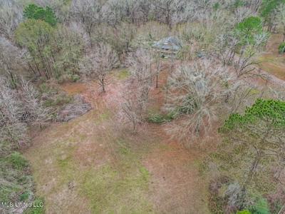 Luxury 5-Bed Home on 22 Acres in Kingston, Natchez, MS - image 38