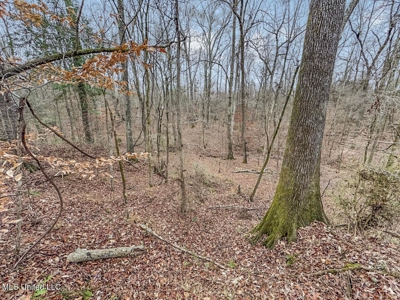 Luxury 5-Bed Home on 22 Acres in Kingston, Natchez, MS - image 41