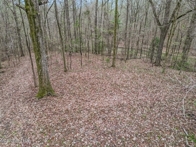 Luxury 5-Bed Home on 22 Acres in Kingston, Natchez, MS - image 36