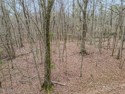 Luxury 5-Bed Home on 22 Acres in Kingston, Natchez, MS - image 35