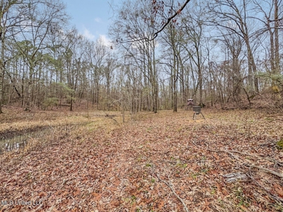 Luxury 5-Bed Home on 22 Acres in Kingston, Natchez, MS - image 45