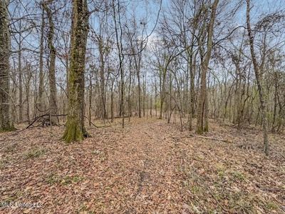 Luxury 5-Bed Home on 22 Acres in Kingston, Natchez, MS - image 40