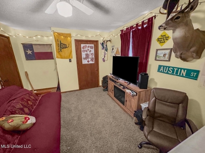 Luxury 5-Bed Home on 22 Acres in Kingston, Natchez, MS - image 13