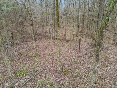 Luxury 5-Bed Home on 22 Acres in Kingston, Natchez, MS - image 37