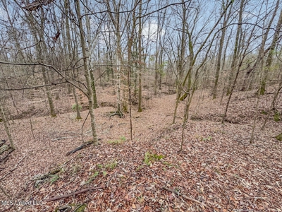 Luxury 5-Bed Home on 22 Acres in Kingston, Natchez, MS - image 42