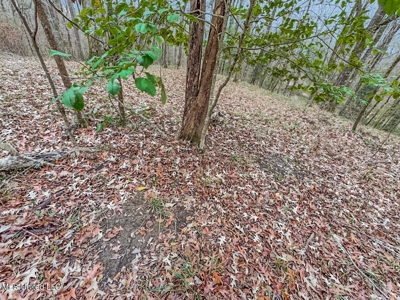 Luxury 5-Bed Home on 22 Acres in Kingston, Natchez, MS - image 44