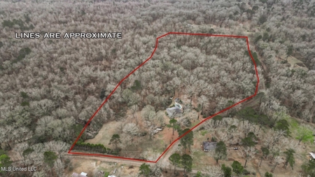 Luxury 5-Bed Home on 22 Acres in Kingston, Natchez, MS - image 29