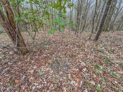 Luxury 5-Bed Home on 22 Acres in Kingston, Natchez, MS - image 43