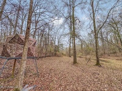 Luxury 5-Bed Home on 22 Acres in Kingston, Natchez, MS - image 46