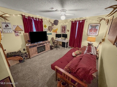 Luxury 5-Bed Home on 22 Acres in Kingston, Natchez, MS - image 12