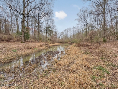 Luxury 5-Bed Home on 22 Acres in Kingston, Natchez, MS - image 47