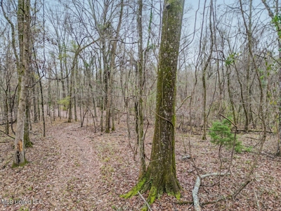 Luxury 5-Bed Home on 22 Acres in Kingston, Natchez, MS - image 34