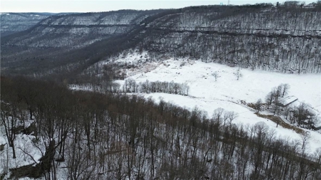 20 Acres Land w/Spring, Waterfall  For Sale Near Jasper, Arkansas - image 3