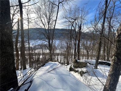 20 Acres Land w/Spring, Waterfall  For Sale Near Jasper, Arkansas - image 15