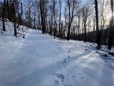 20 Acres Land w/Spring, Waterfall  For Sale Near Jasper, Arkansas - image 12