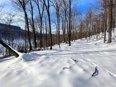 20 Acres Land w/Spring, Waterfall  For Sale Near Jasper, Arkansas - image 16