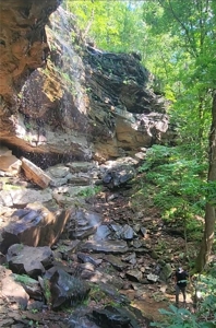 20 Acres Land w/Spring, Waterfall  For Sale Near Jasper, Arkansas - image 9