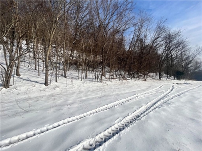 20 Acres Land w/Spring, Waterfall  For Sale Near Jasper, Arkansas - image 29