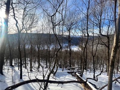 20 Acres Land w/Spring, Waterfall  For Sale Near Jasper, Arkansas - image 23
