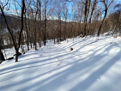 20 Acres Land w/Spring, Waterfall  For Sale Near Jasper, Arkansas - image 21