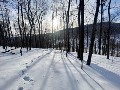 20 Acres Land w/Spring, Waterfall  For Sale Near Jasper, Arkansas - image 14