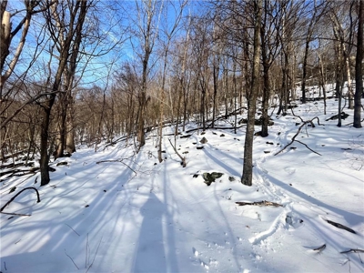 20 Acres Land w/Spring, Waterfall  For Sale Near Jasper, Arkansas - image 22